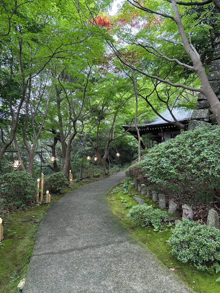 散步在八幡山中，十分的幽靜