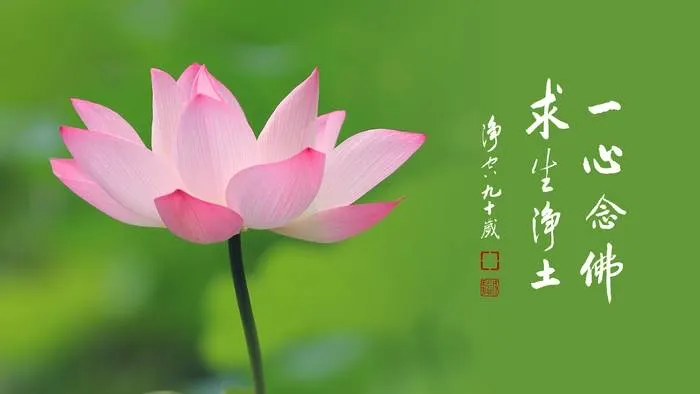 專心持念「阿彌陀佛」萬德洪名，期生淨土