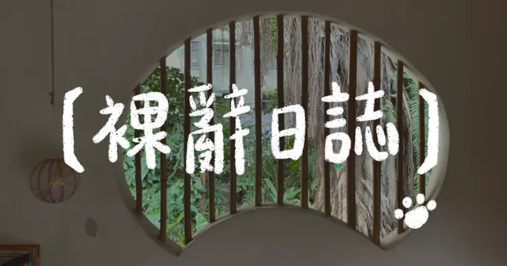 真希望生命的窗戶也能為我開出可愛的綠植