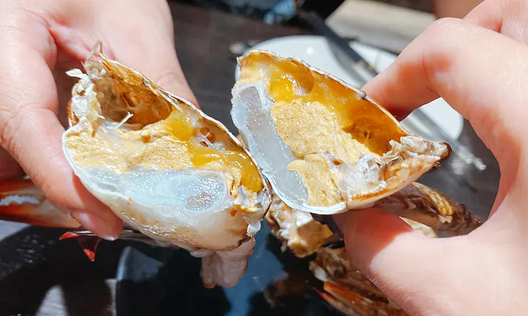 桃園林口火鍋吃到飽推薦-魔椒頂級鴛鴦鍋-林口店