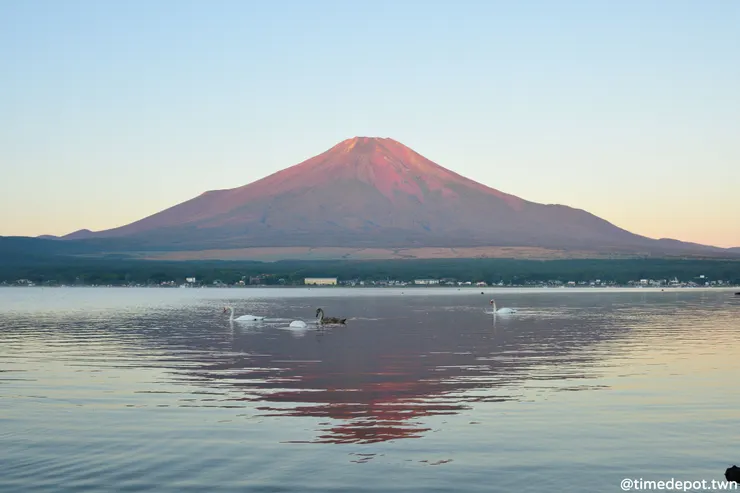 月亮落下之後不久天也亮了,被朝陽染成紅色的富士山在湖面倒映著