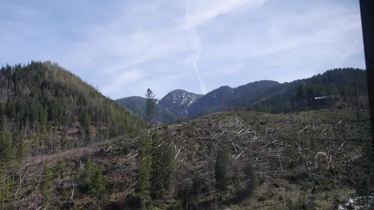 纜車會坐兩段，第一段就可以看到一些雪了