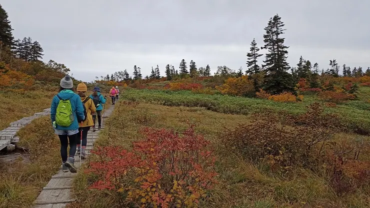 前往火打山的木棧道