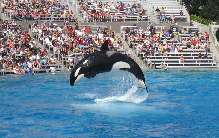 图片来源:unsplash