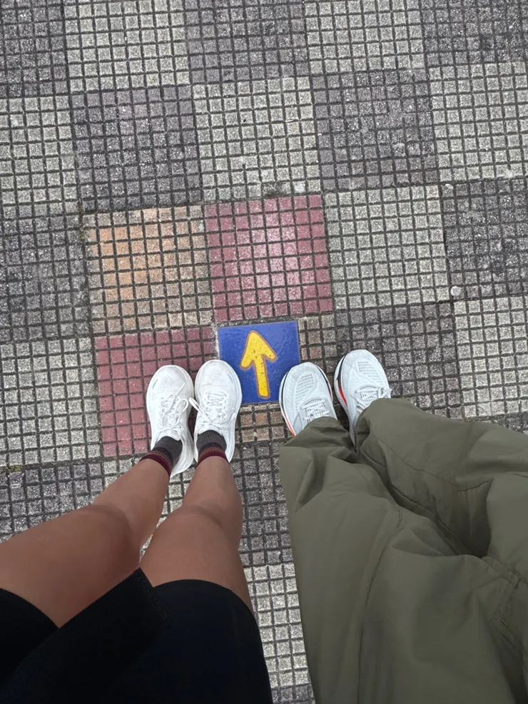 路上都有像這樣黃色指標，這是Camino的標誌，跟著箭頭走就對了。