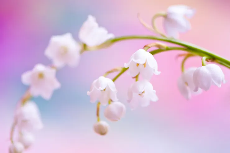 from : unsplash