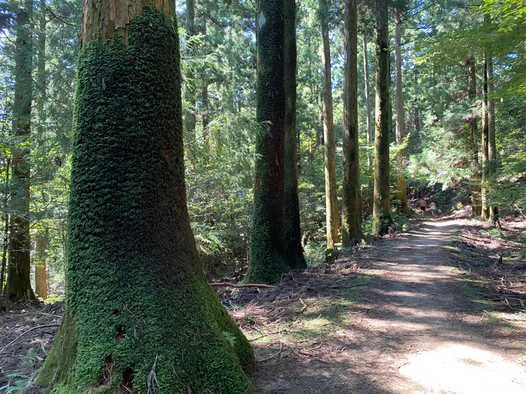 終於！！到越前峠了！