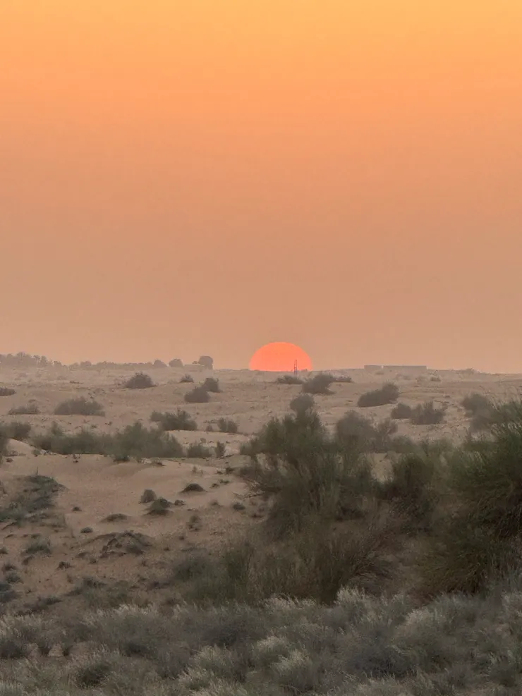 阿聯酋沙漠落日 作者拍攝