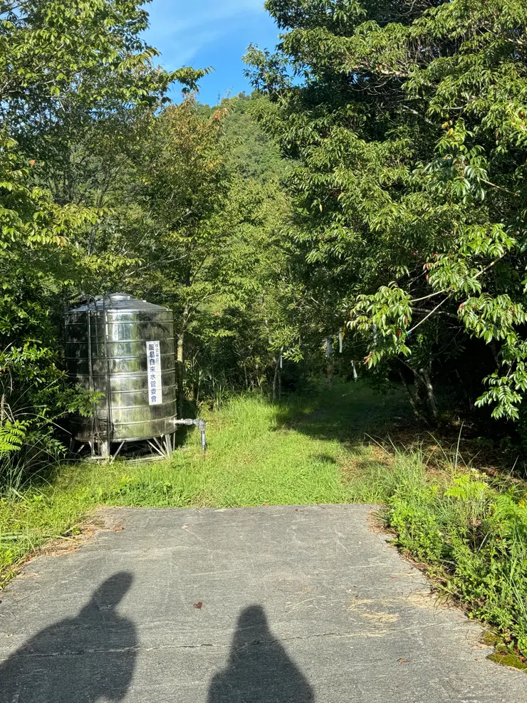 早上的天氣很好，我們把車停在平台後，往大水桶的方向便是低陸山的登山口了。