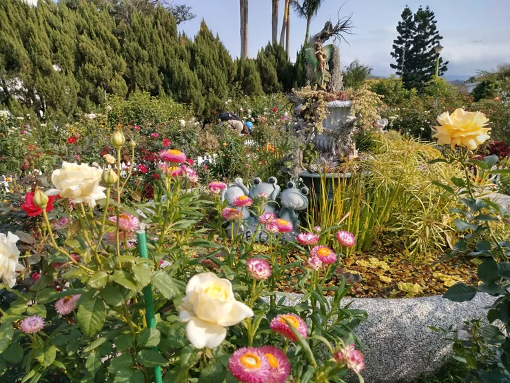 玫瑰展/花博2021