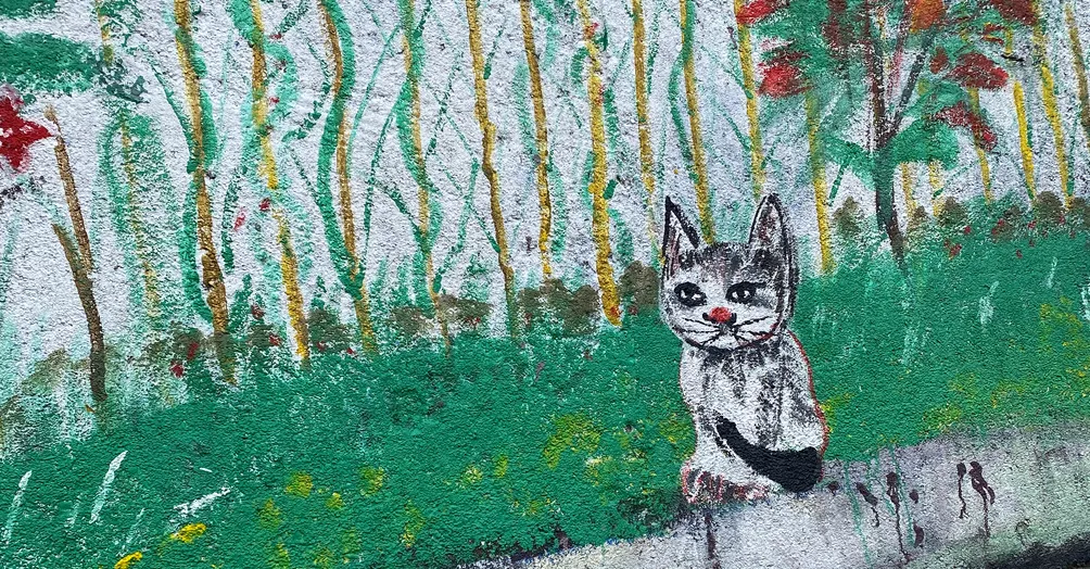 ＢＯＮ出來的沙龍