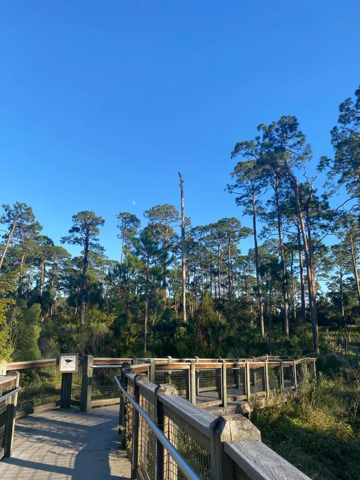 園區內其中一個步道