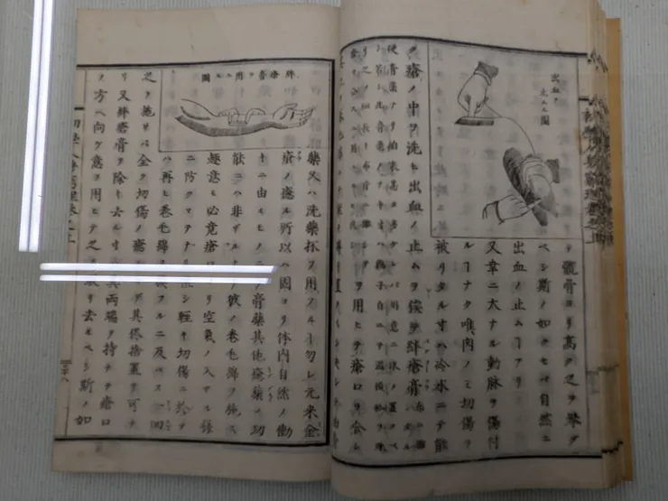 蘭醫的包紮術教科書