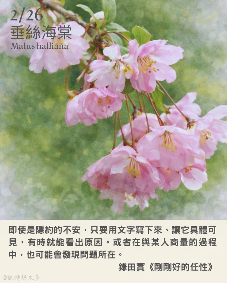 2 月 26日｜垂絲海棠×鎌田實《剛剛好的任性》