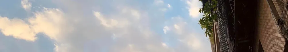 奶油蒼蠅的沙龍