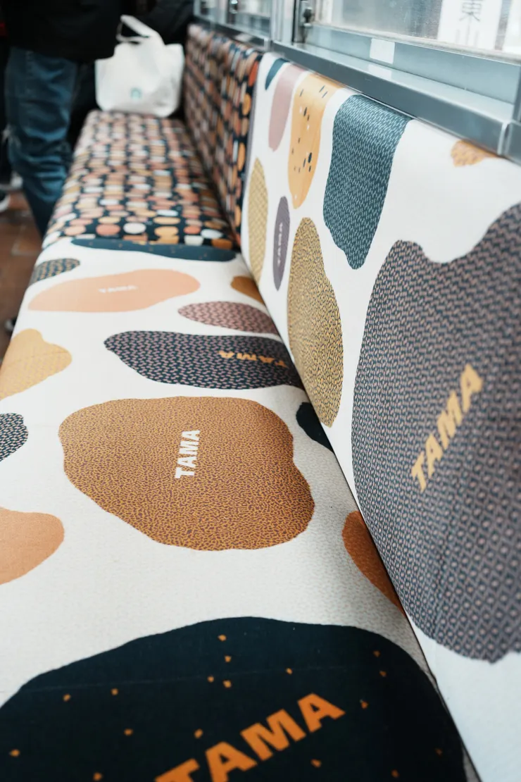 座椅是毛色圖案