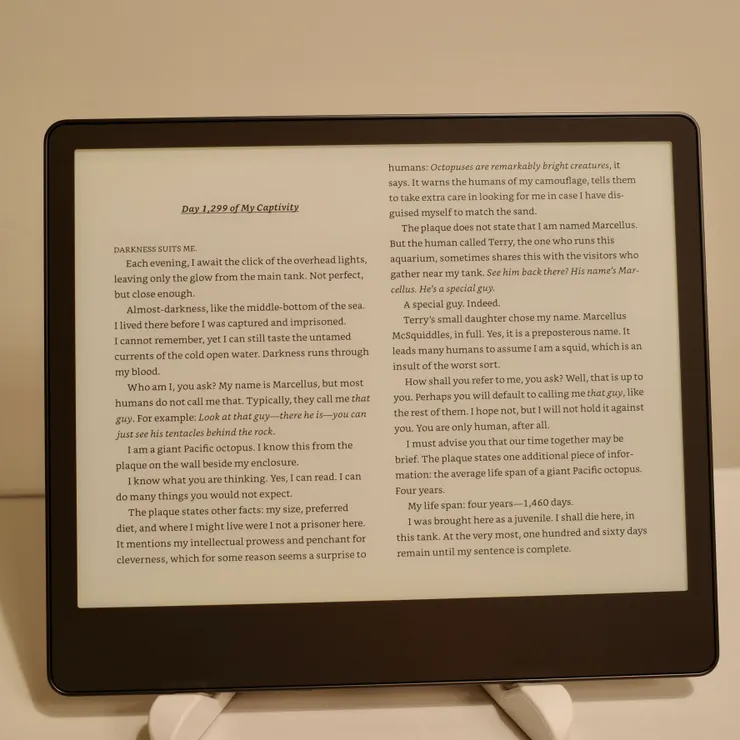 橫向+2 columns：像真的攤開一本書一樣閱讀