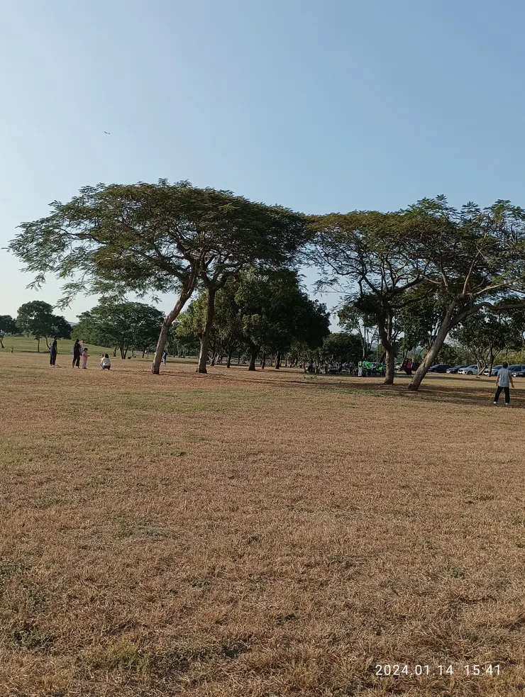 人間行悲欣流轉