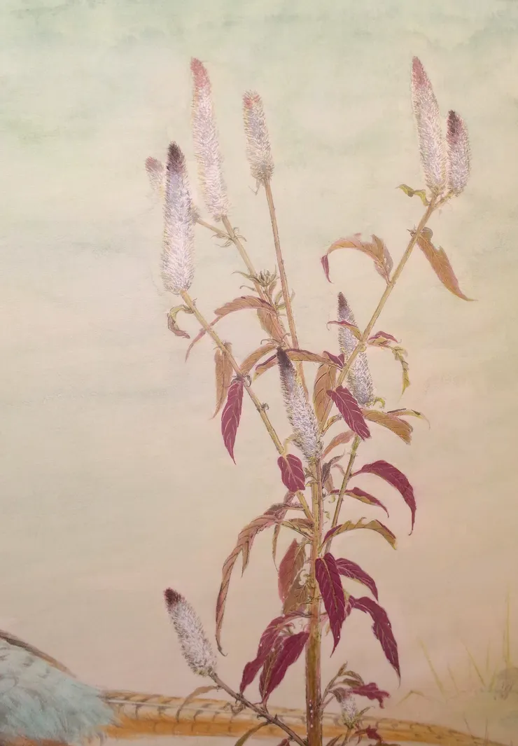 〈雉鴝萬里霜/霜晨鴝聲〉局部-青葙