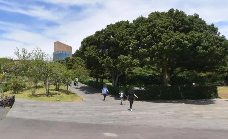 Osulloc茶博物館 | 圖片來源：naver maps