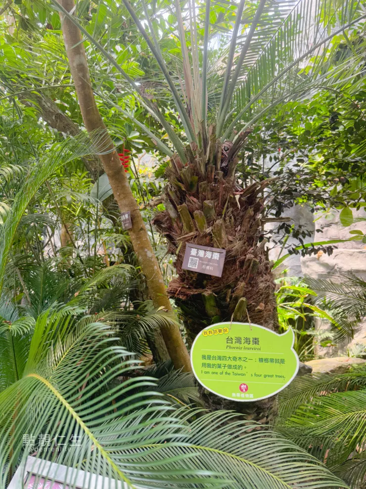 台北典藏植物園｜台灣海藻