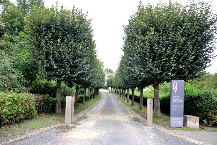 【驅車十分鐘到聖科斯姆修道院！入口前的行道樹。】