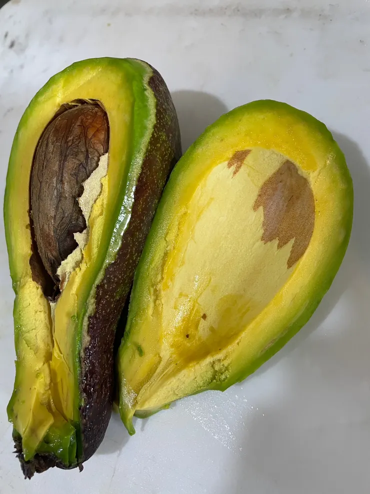 用愛心做的酪梨創意料理最適合分享給自己所愛的親朋好友