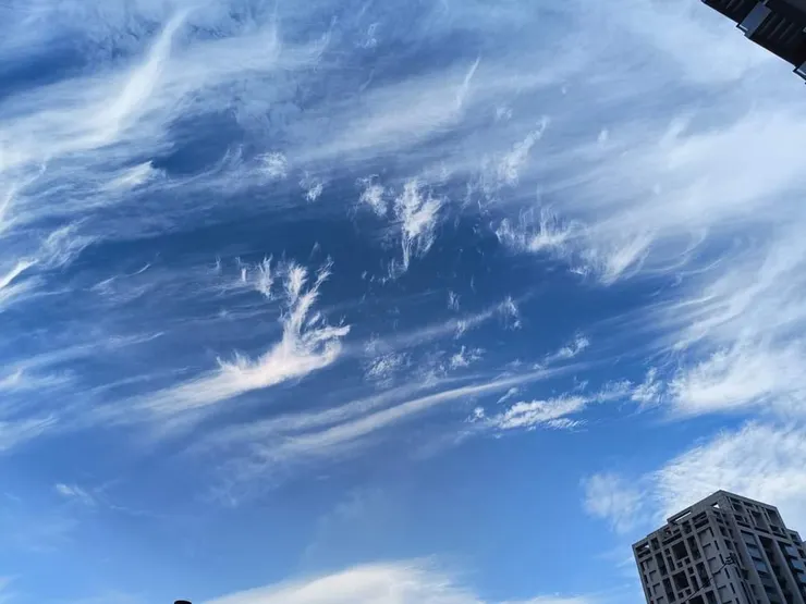 彷彿是一頭鹿，或是龍