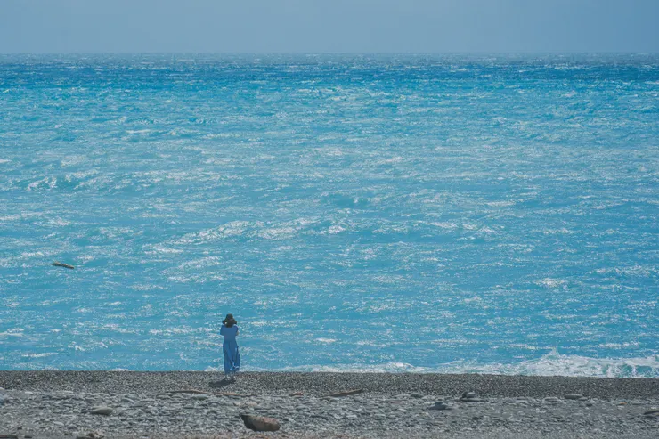 1141219-「繁花盛開 We Bloom!」全面躍上國際舞台-七星潭