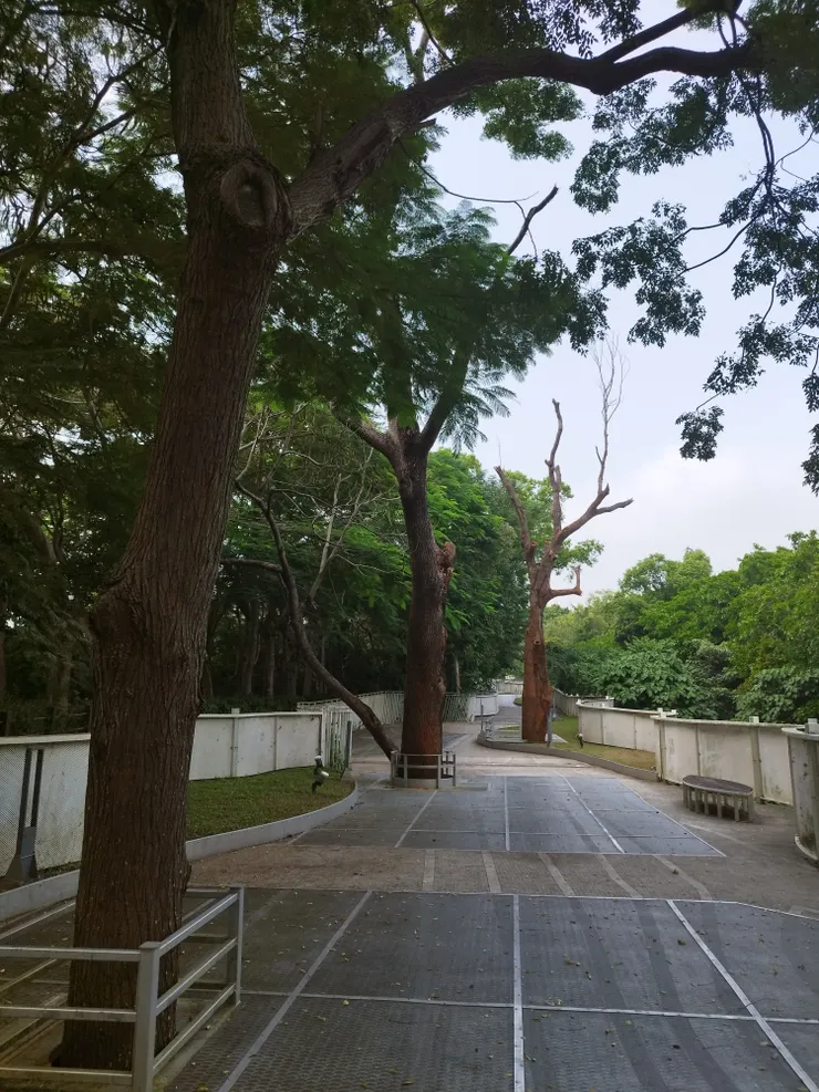 自行車騎上來有一些上坡感覺 因河童騎著電輔自行車  非常輕鬆 河童拍攝/2023年