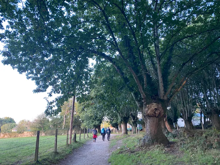 你不孤單因為沿路都是人