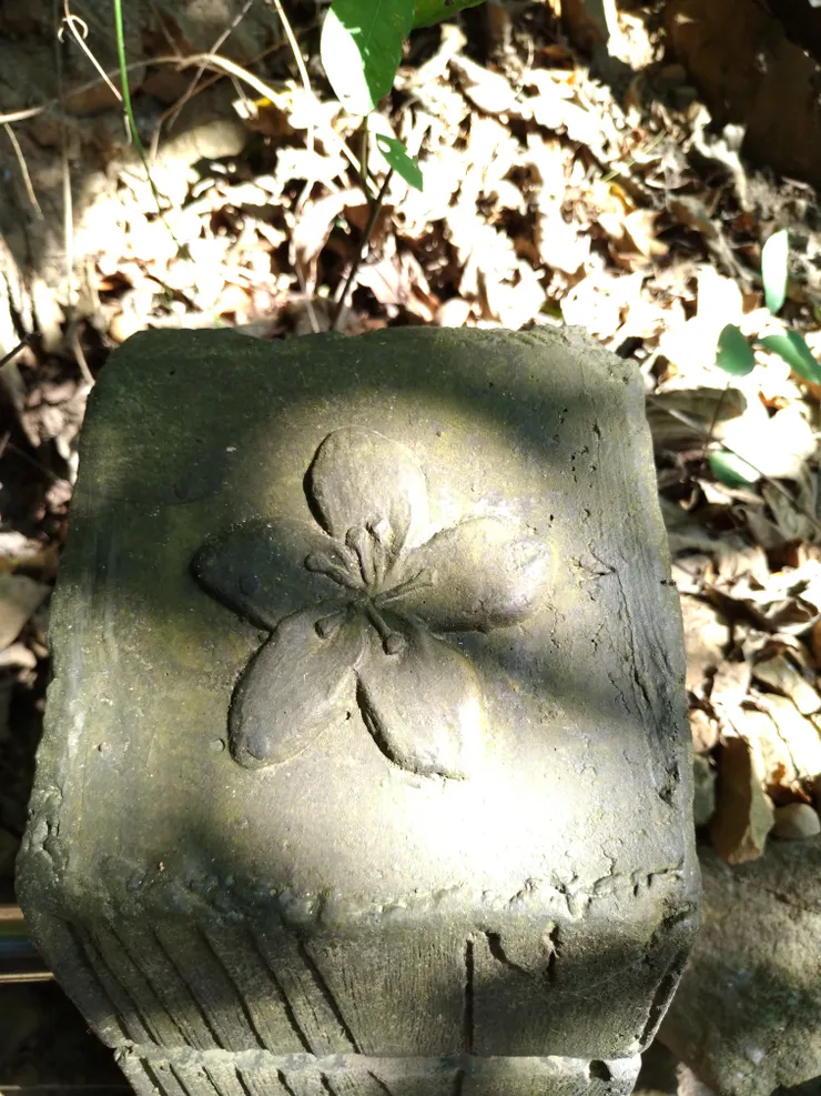 誰是?一個兩個三四個...無數個?