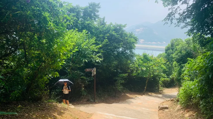看到這個岔路確實沒有走錯。