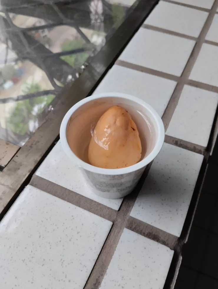 用吃過的布丁杯來泡正好