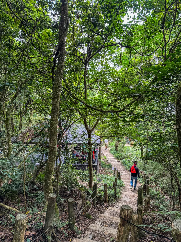 大凍山步道約有5-6座涼亭,供山友休憩。