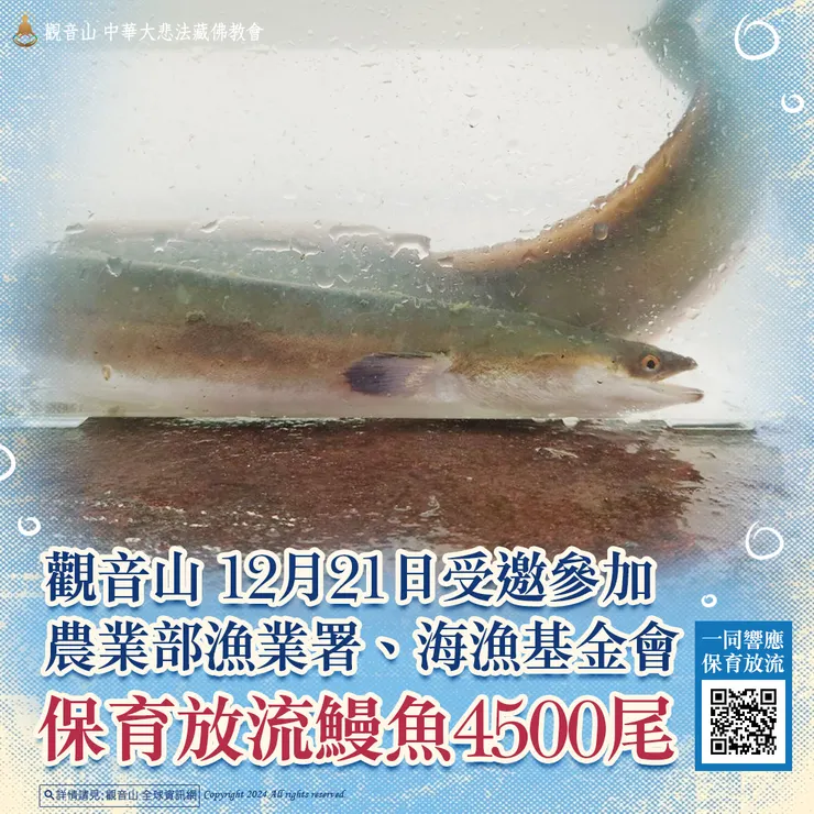 觀音山 愛護海洋‧保育放流活動