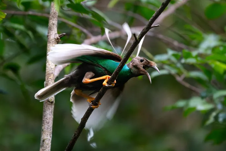 Photo taken by Boas Emmanuel