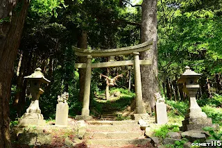 第二個鳥居，要開始爬山了