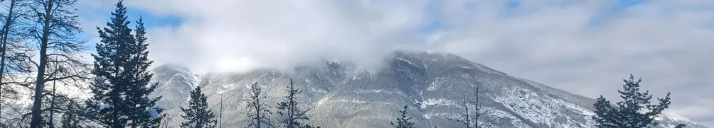 水邊的小槐花Lynn的沙龍