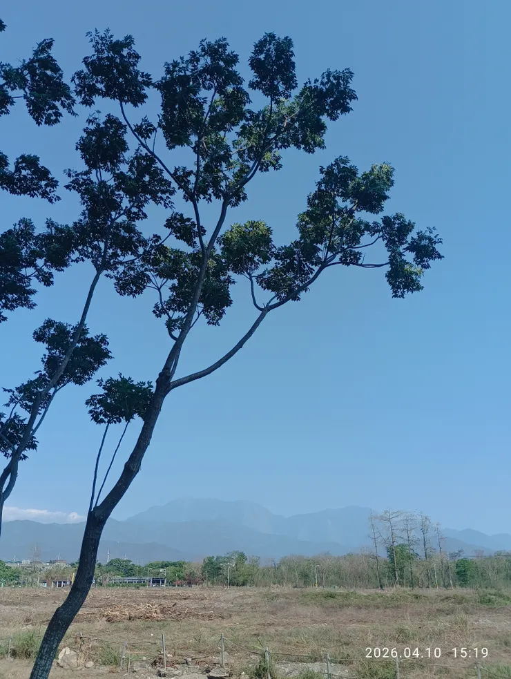 野曠接天風柔訴