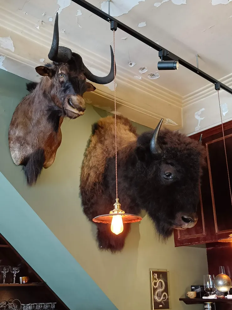 工作吧台牆上標本依舊精彩