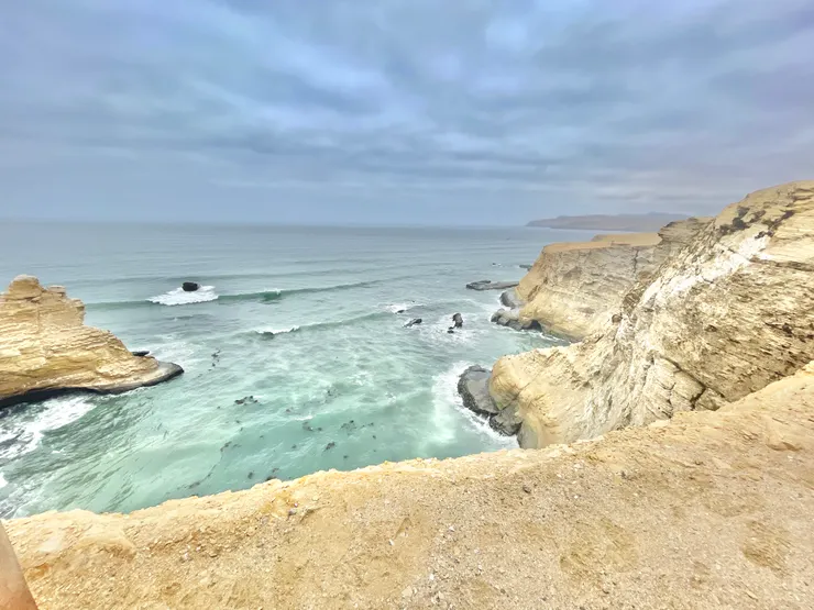 攝於2024年,帕拉卡斯國家保護區