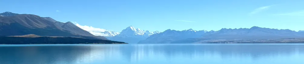 泥馬的思想世界