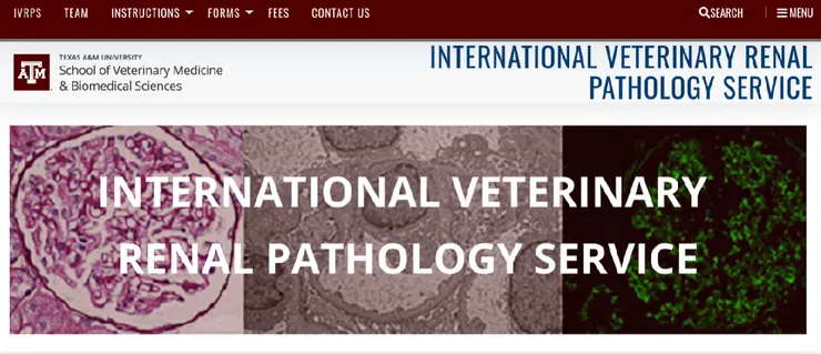 德州農工大學國際腎臟病理診斷中心