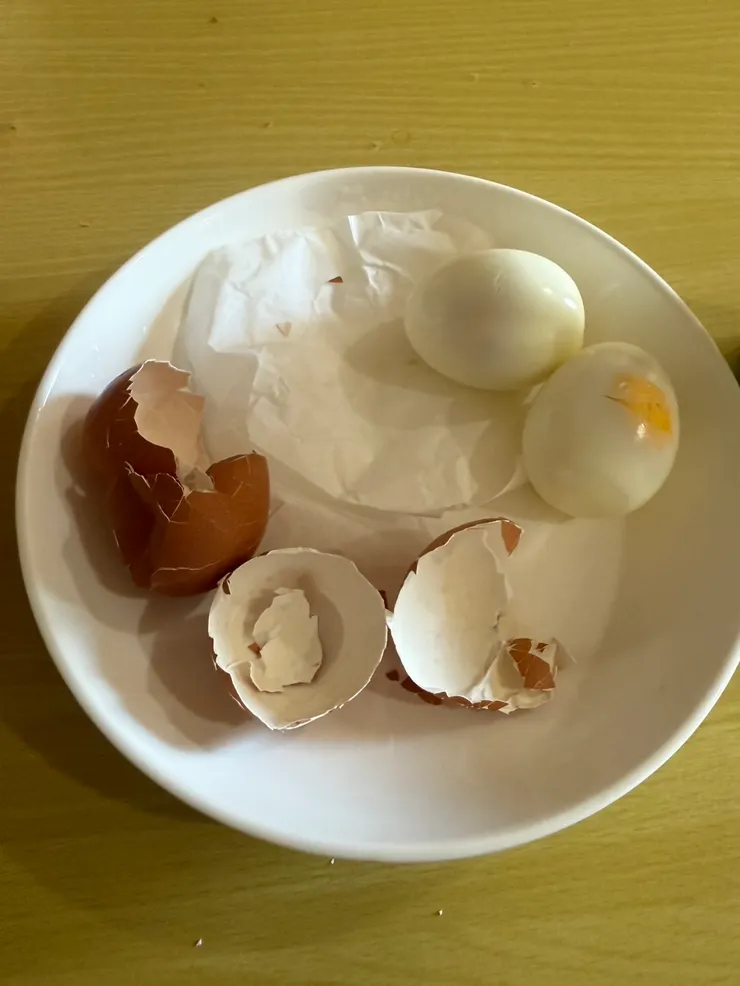 成品~硬殼與薄膜依舊緊密相連