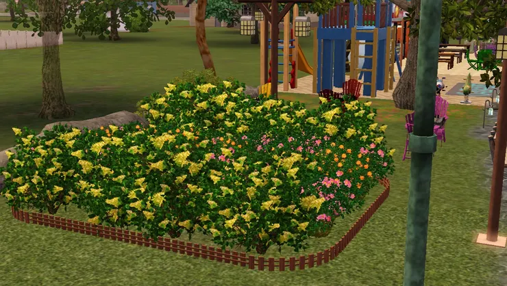 本來這裏我想建個溫室，但能力所限...建成大花圃也不錯。我很喜歡公園有很多漂亮的花兒。