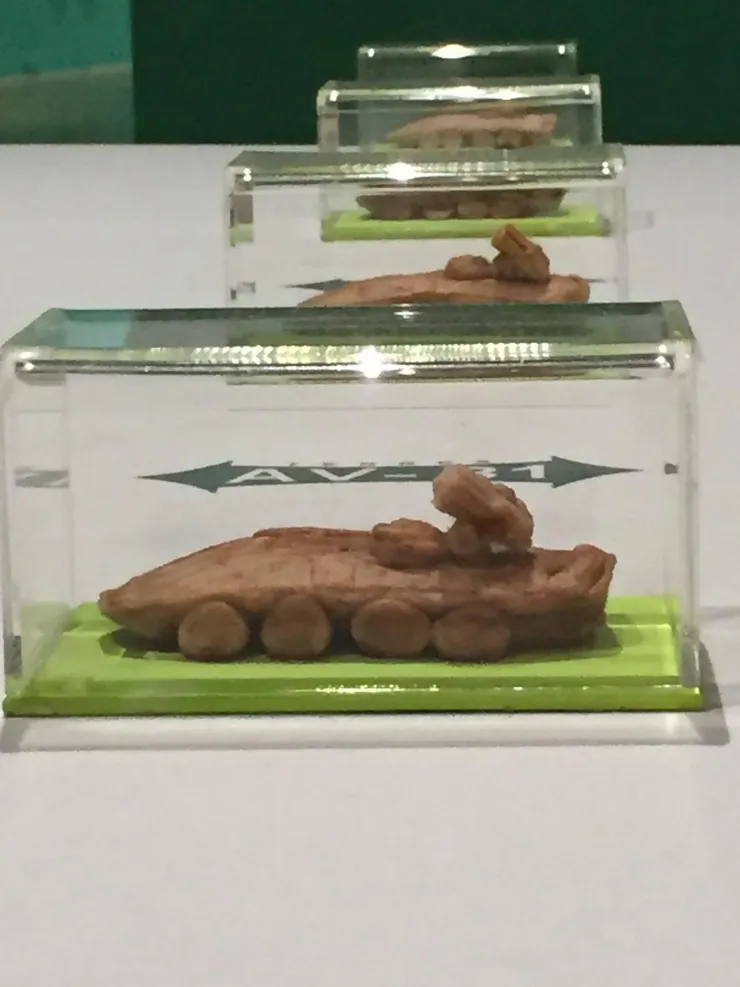 攝於2020年北美館《秘密南方：典藏作品中的冷戰視角及全球南方》李勇志〈交個朋友吧〉