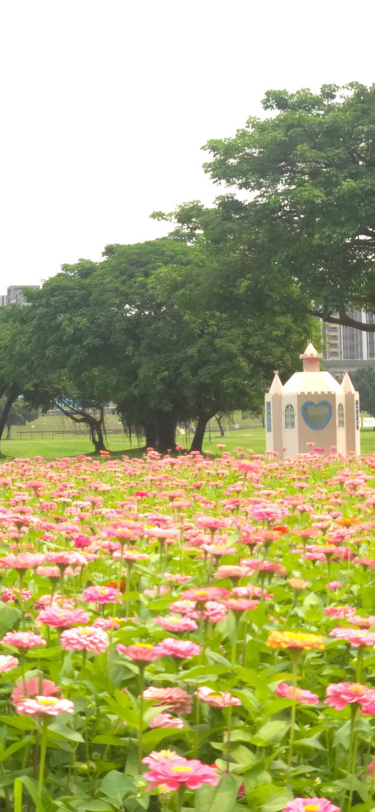 超有童話故事感。