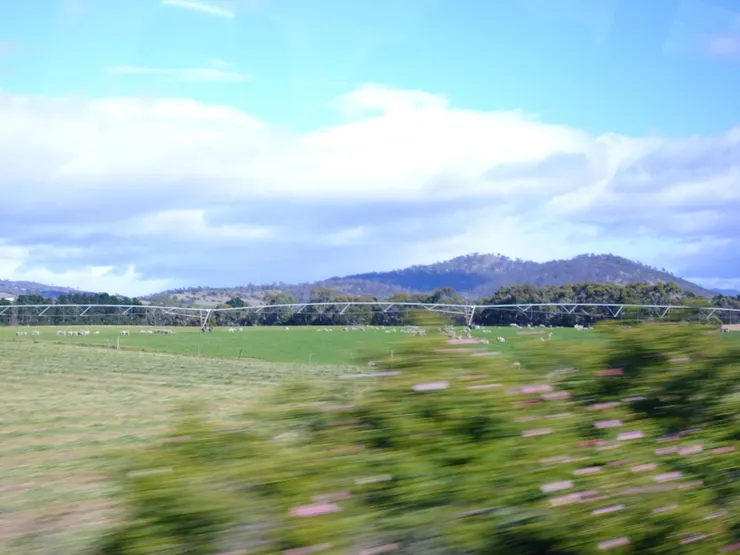 途中的巨型灑水器與綿羊