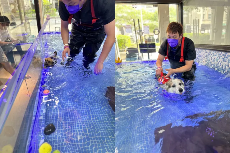 雙寶老爹006208定期定額記錄，2024年08月